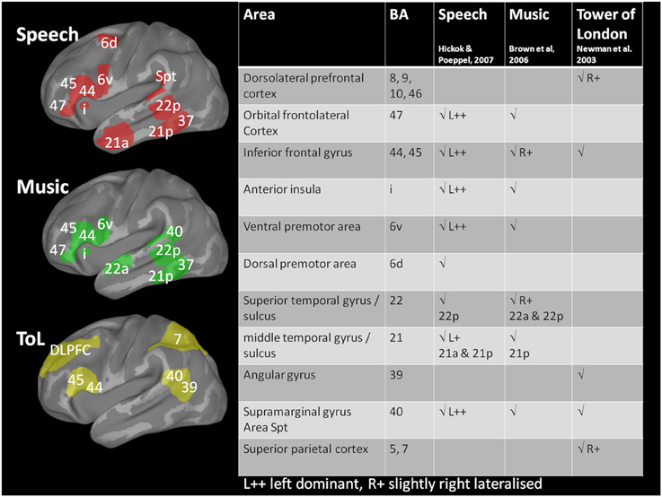 Brain Tasks